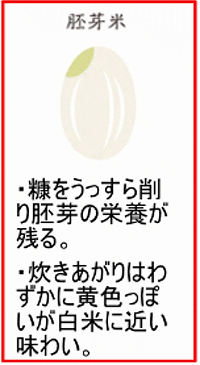 胚芽精米と普通のお米はどう違うの?